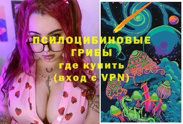 метамфетамин Алексин